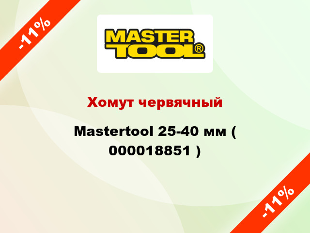Хомут червячный Mastertool 25-40 мм ( 000018851 )