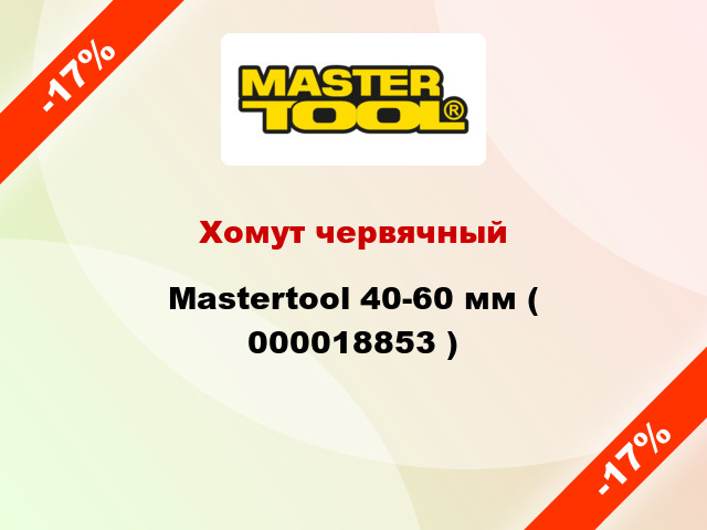 Хомут червячный Mastertool 40-60 мм ( 000018853 )