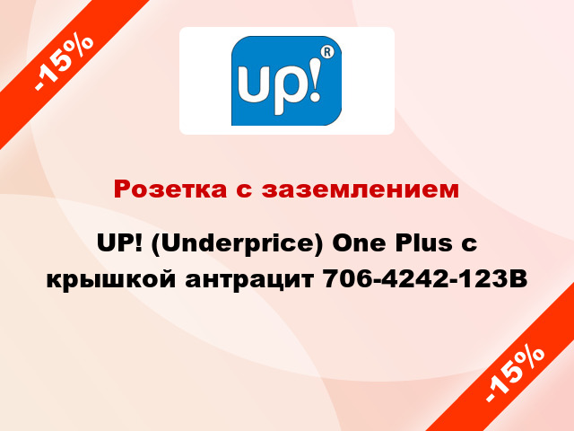 Розетка с заземлением UP! (Underprice) One Plus с крышкой антрацит 706-4242-123B